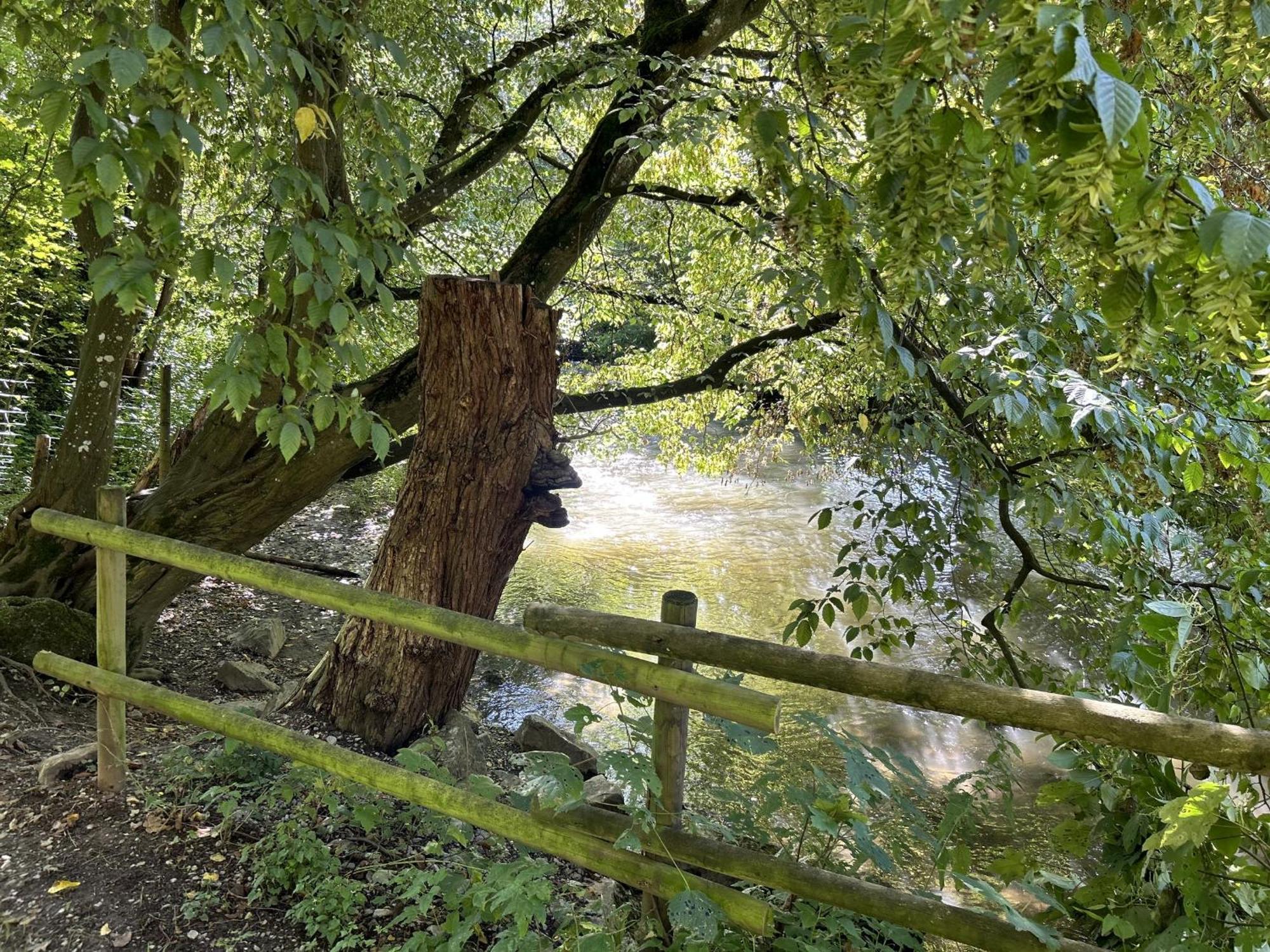 Ferienwohnung Sauerland An Der Ruhr Olsberg Εξωτερικό φωτογραφία