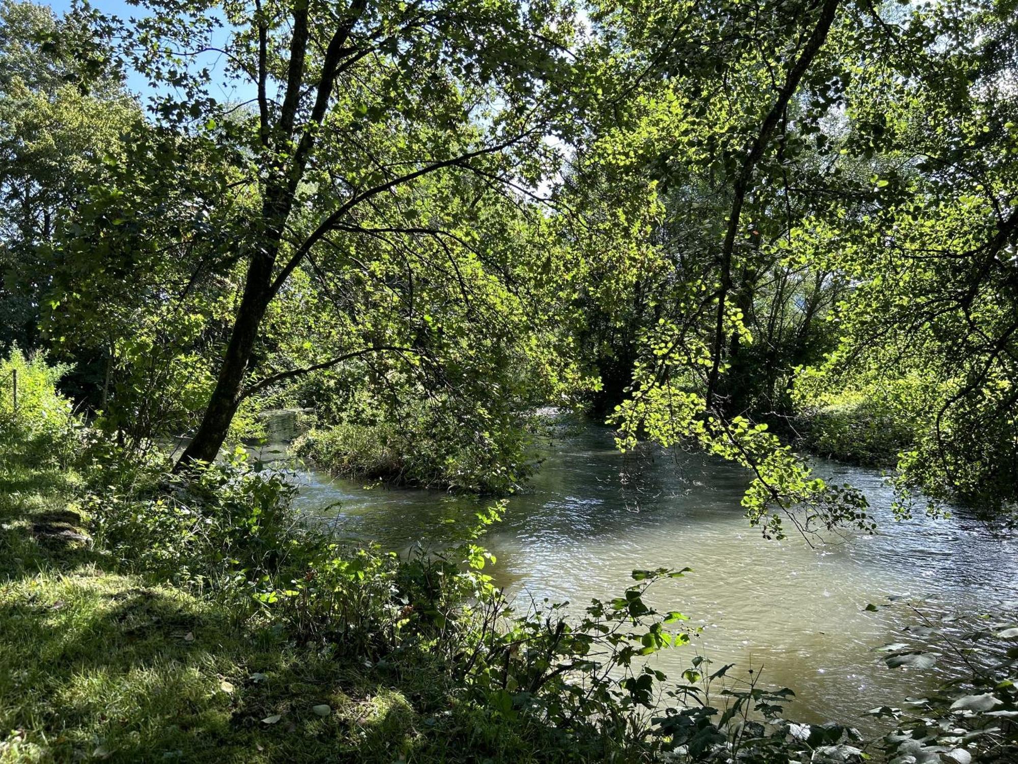 Ferienwohnung Sauerland An Der Ruhr Olsberg Εξωτερικό φωτογραφία